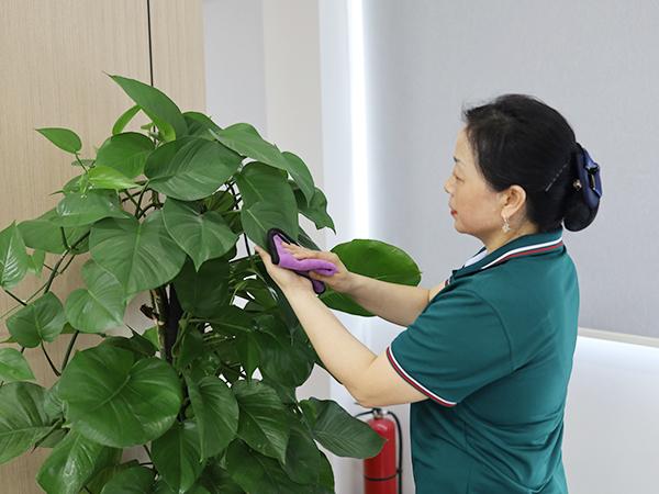 你真的了解保潔嗎？